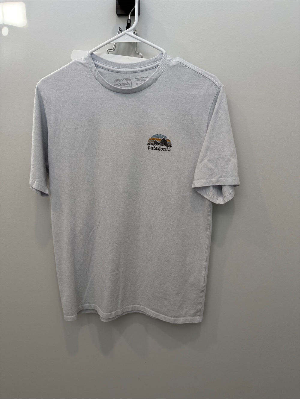 Patagonia Men’s Light Gray Graphic Logo Short Sleeve Tee